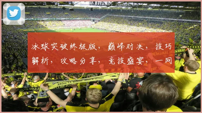 冰球突破终极版，巅峰对决，技巧解析，攻略分享，竞技盛宴，一网打尽