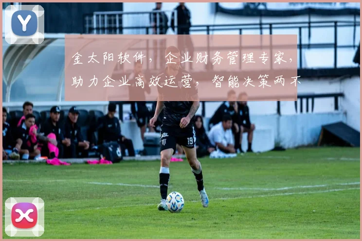金太阳软件，企业财务管理专家，助力企业高效运营，智能决策两不误，一站式解决方案。