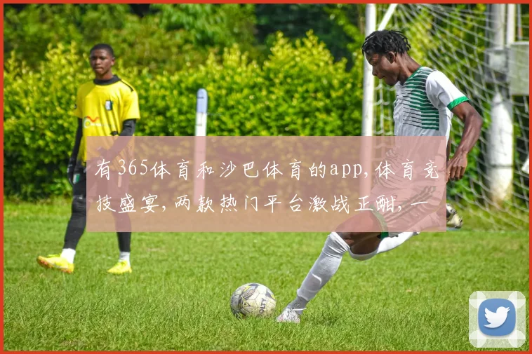 有365体育和沙巴体育的app,体育竞技盛宴,两款热门平台激战正酣,一触即发